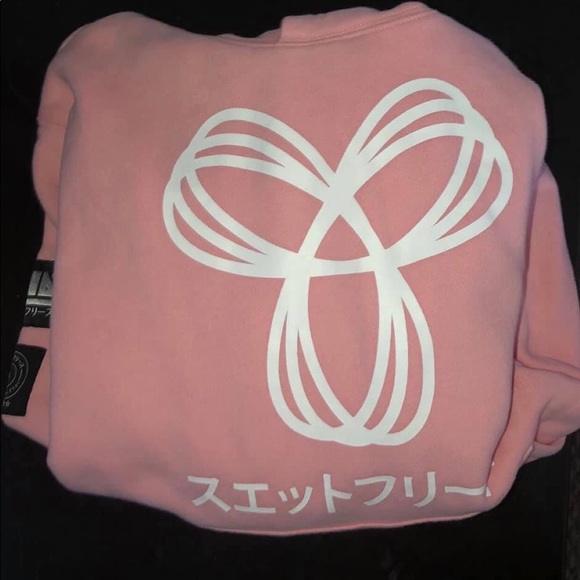 Aritzia hoodie